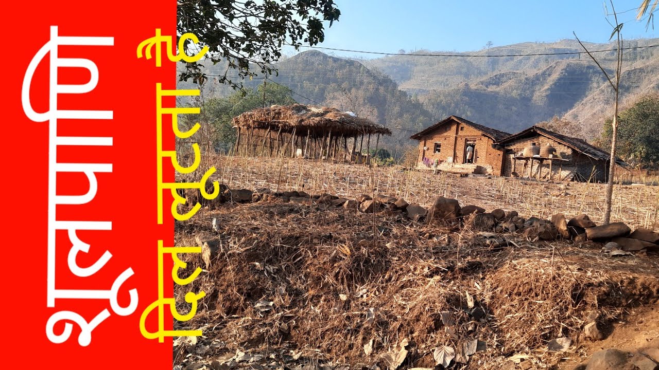 धन नही, मन लूटता है शूलपाणि | loot nahi, seva hoti hai | heart of narmda | नर्मदा परिक्रमा-24