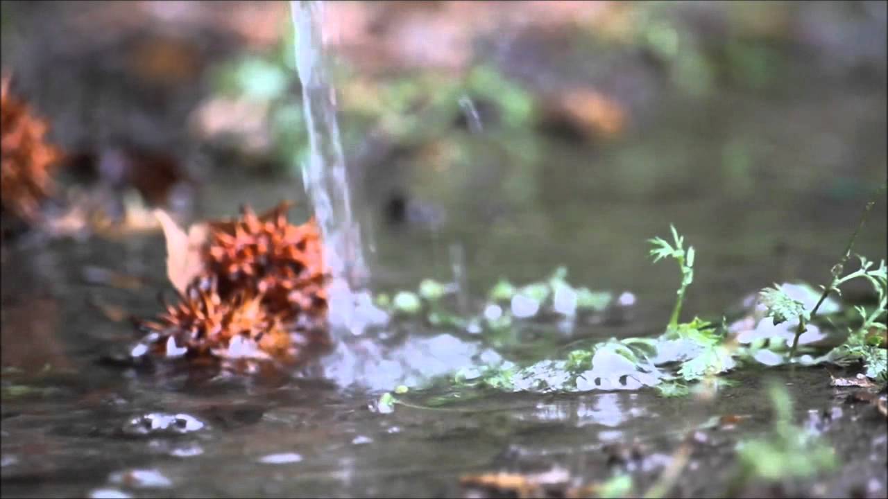 Astral - Rainy Days [Video]