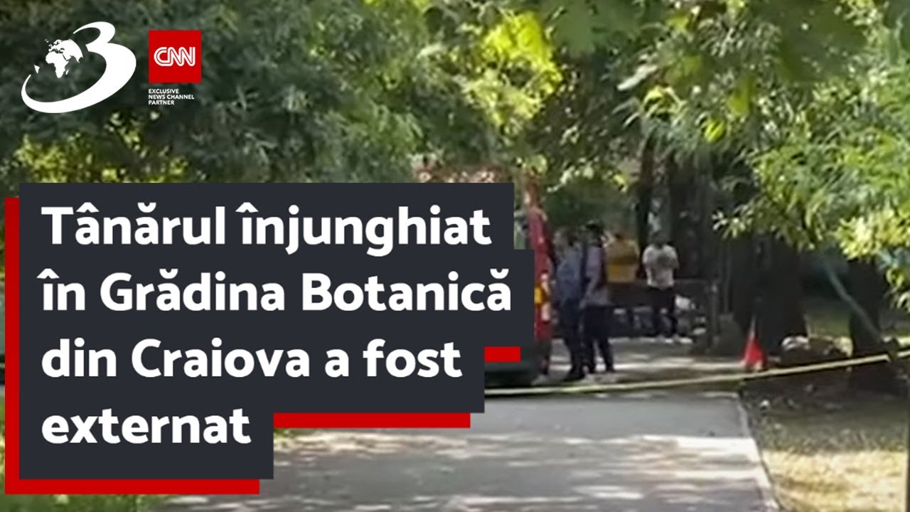 Tânărul înjunghiat în Grădina Botanică din Craiova a fost externat