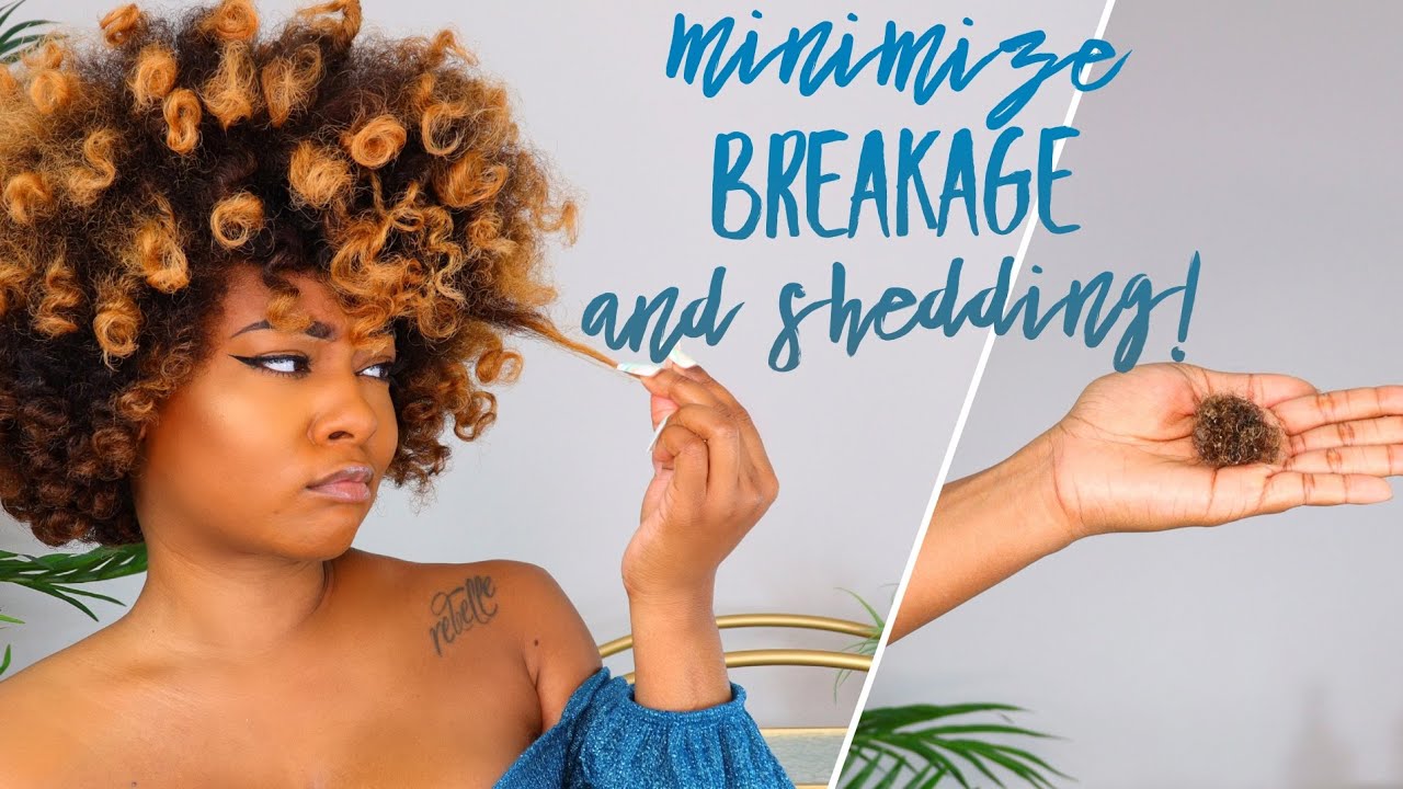 Stop Shedding & Breakage! | Causes + Length Retention Tips to Grow Hair Natural Curly Hair