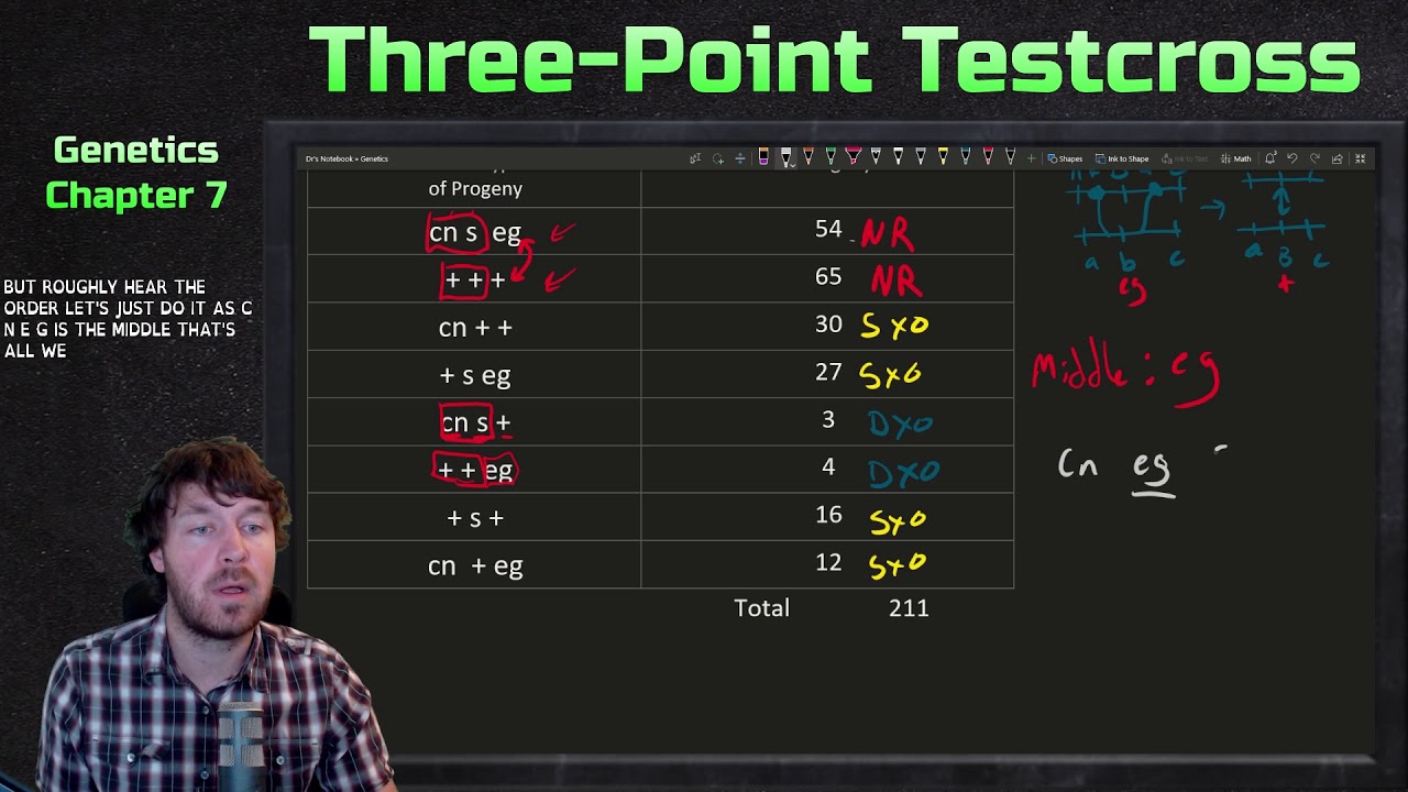 Three-Point Testcross Example | Genetics