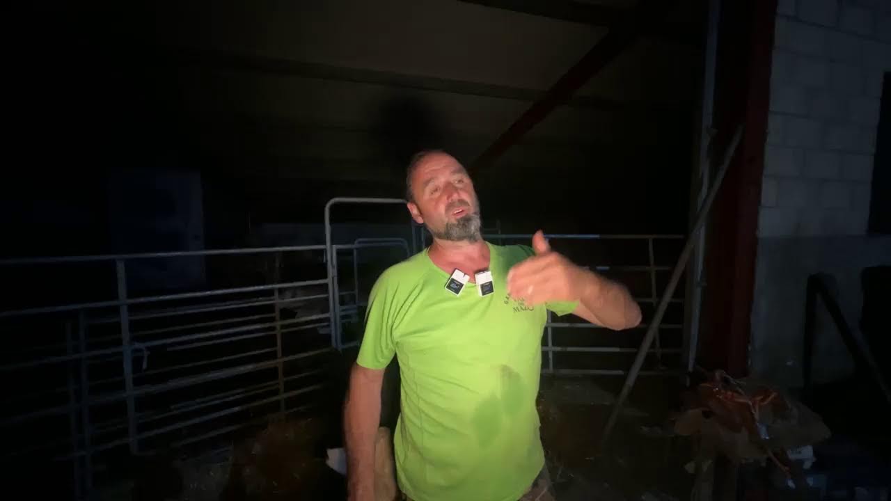 DIRECTOS VAL DEL MAZO
