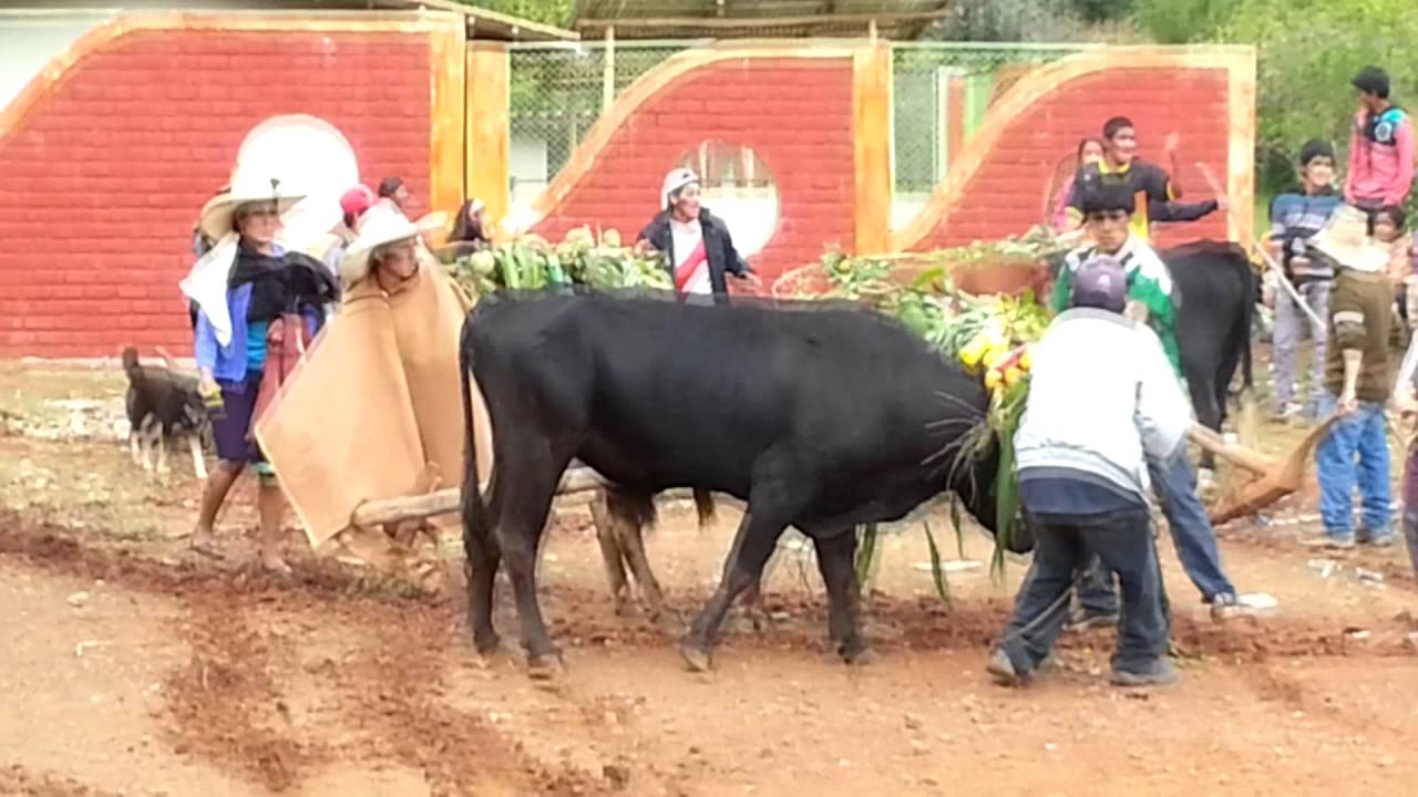 Chirocos de Santa Barbara