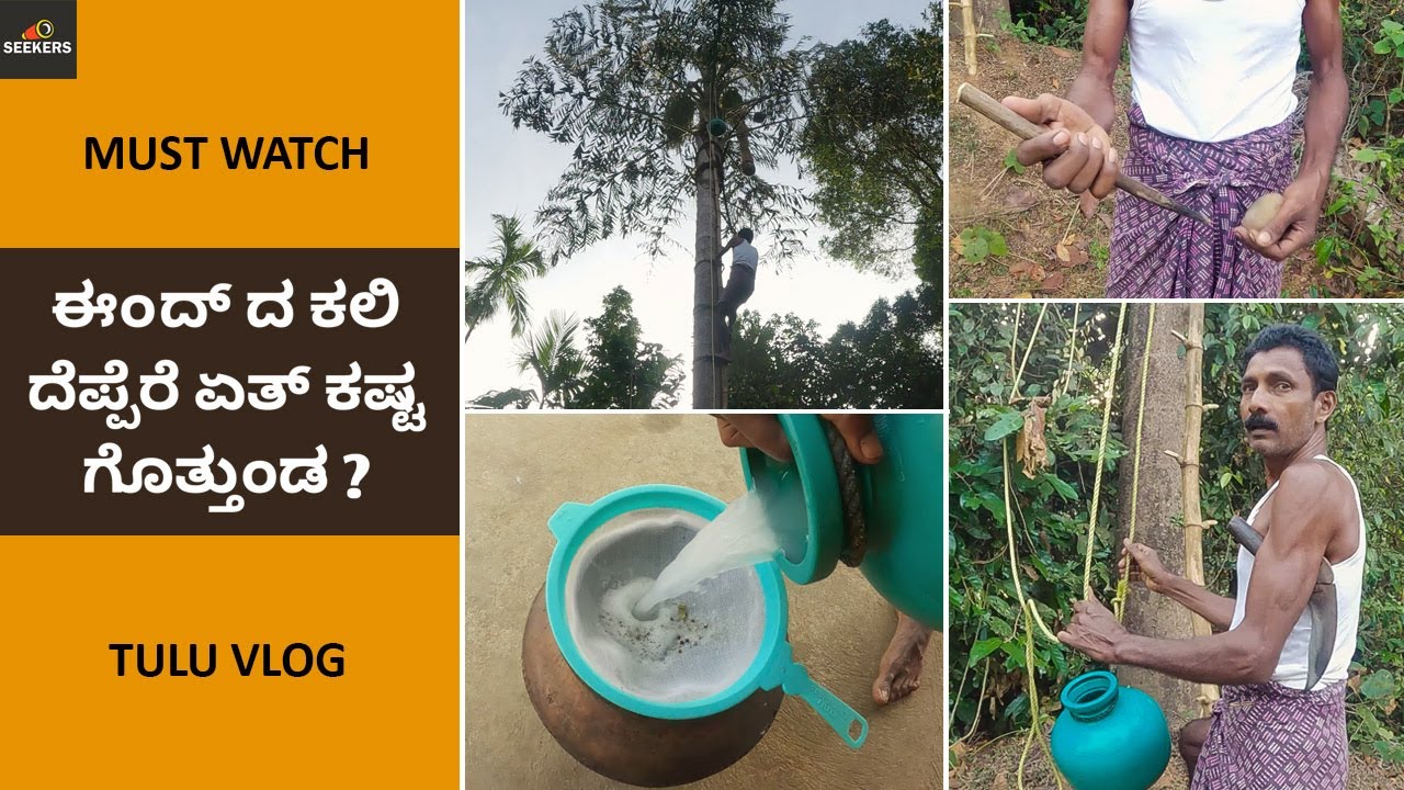 EENDH DA KALI DEPPUNA TUTHARA | KITHUL TODDY | Tulu Vlog | Seekers | Mangalore |
