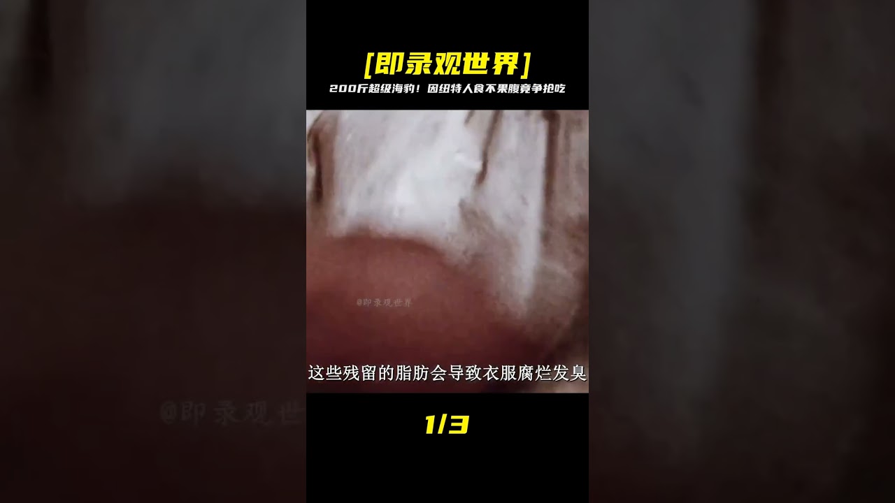 因紐特人抓到200斤超大海豹，食物匱乏的他們有時也會自私自利 