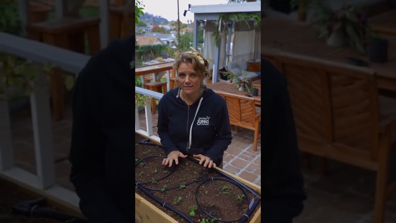 Seed starting issues? Double-check this in your garden