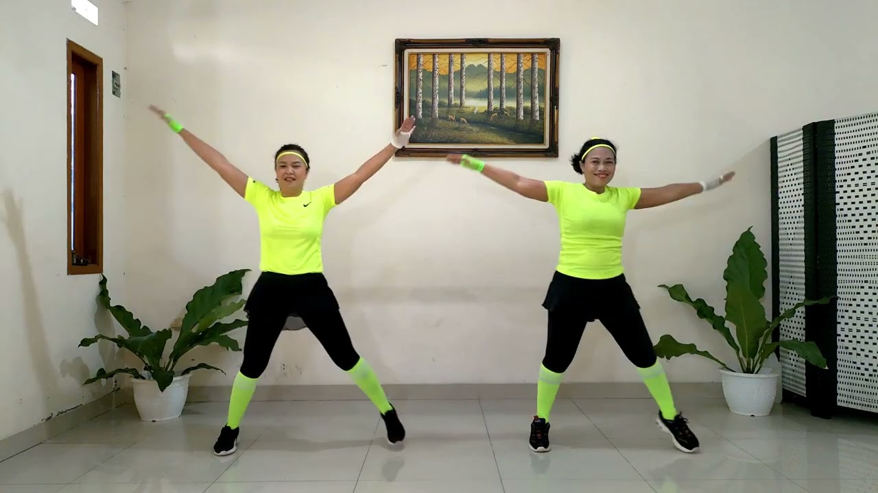ASSA | Bingo | Turtles - EASY ZUMBA!