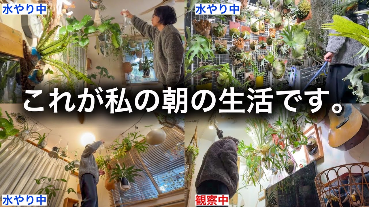 珍奇植物にハマッた