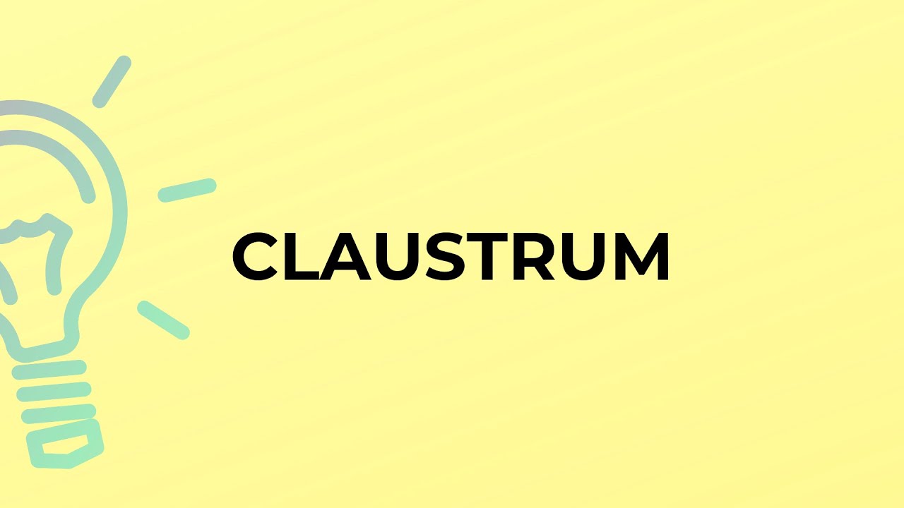 What is the meaning of the word CLAUSTRUM?