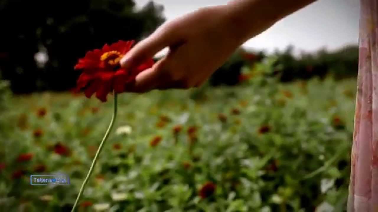 André Rieu - Lippen Schweigen (The Merry Widow)