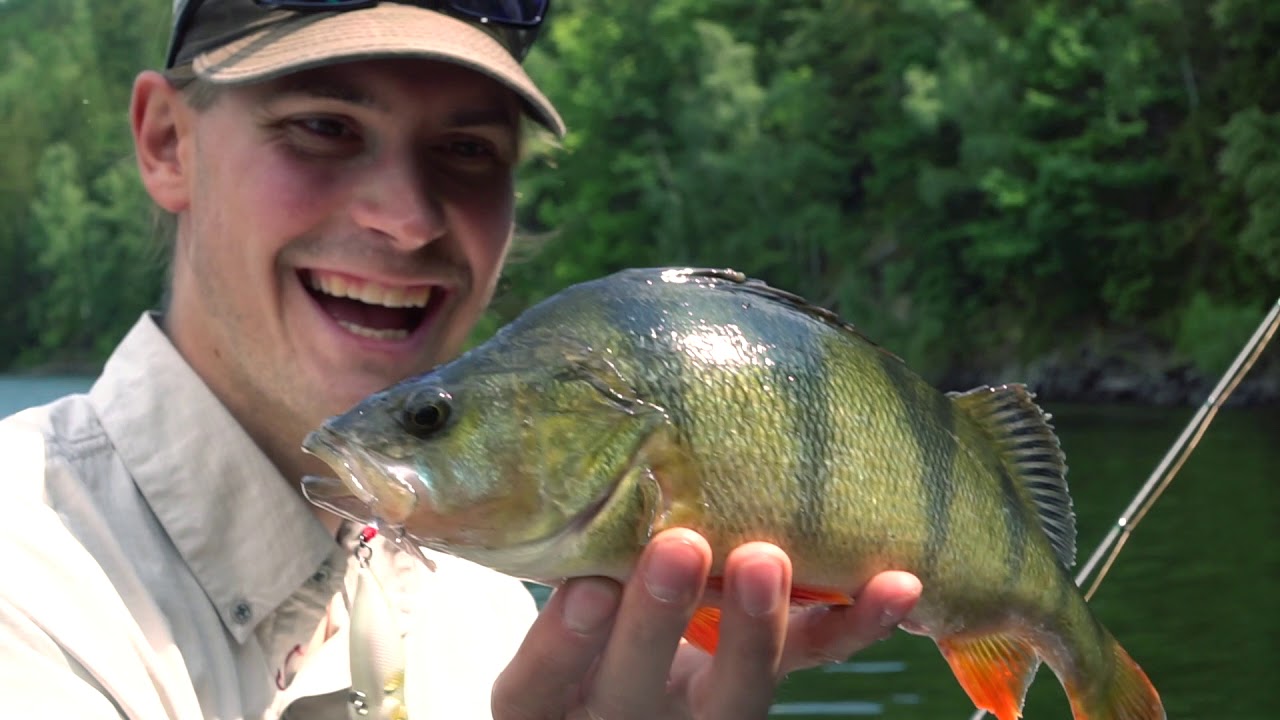 FISCH& FANG | DER RAUBFISCH Ködertest: PROREX Mini Popper & Pencil Bait