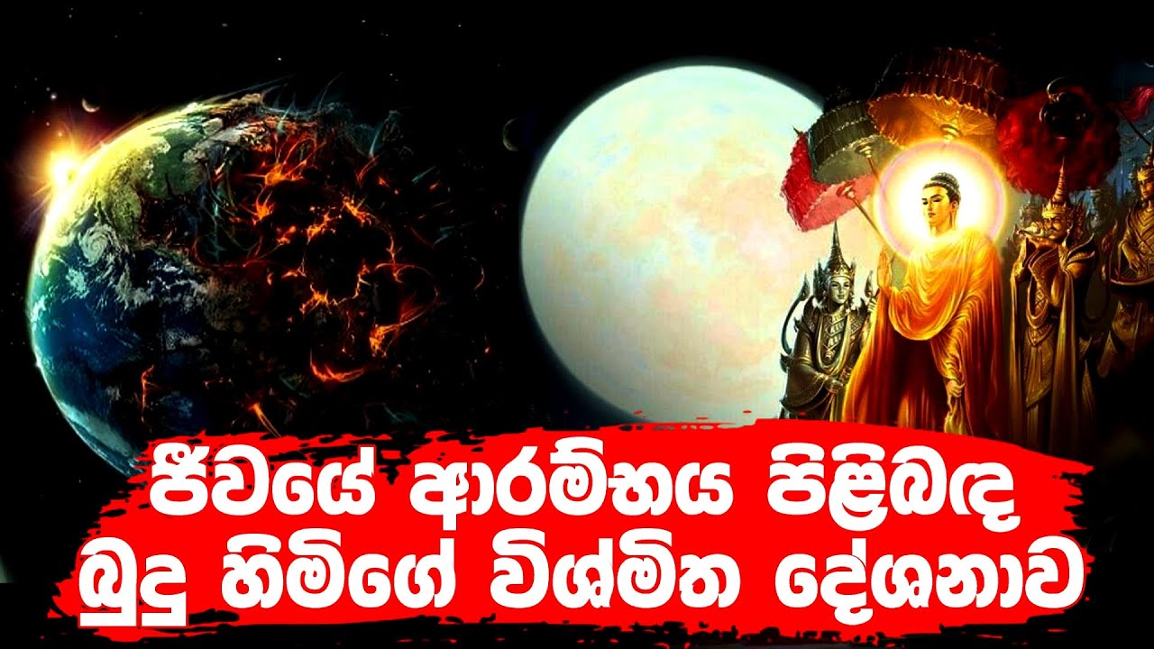 ජීවයේ ආරම්භය පිළිබදව බුදුහිමිගේ විශ්මිත දේශනාව |The Buddha's Amazing Sermon on the Beginning of Life