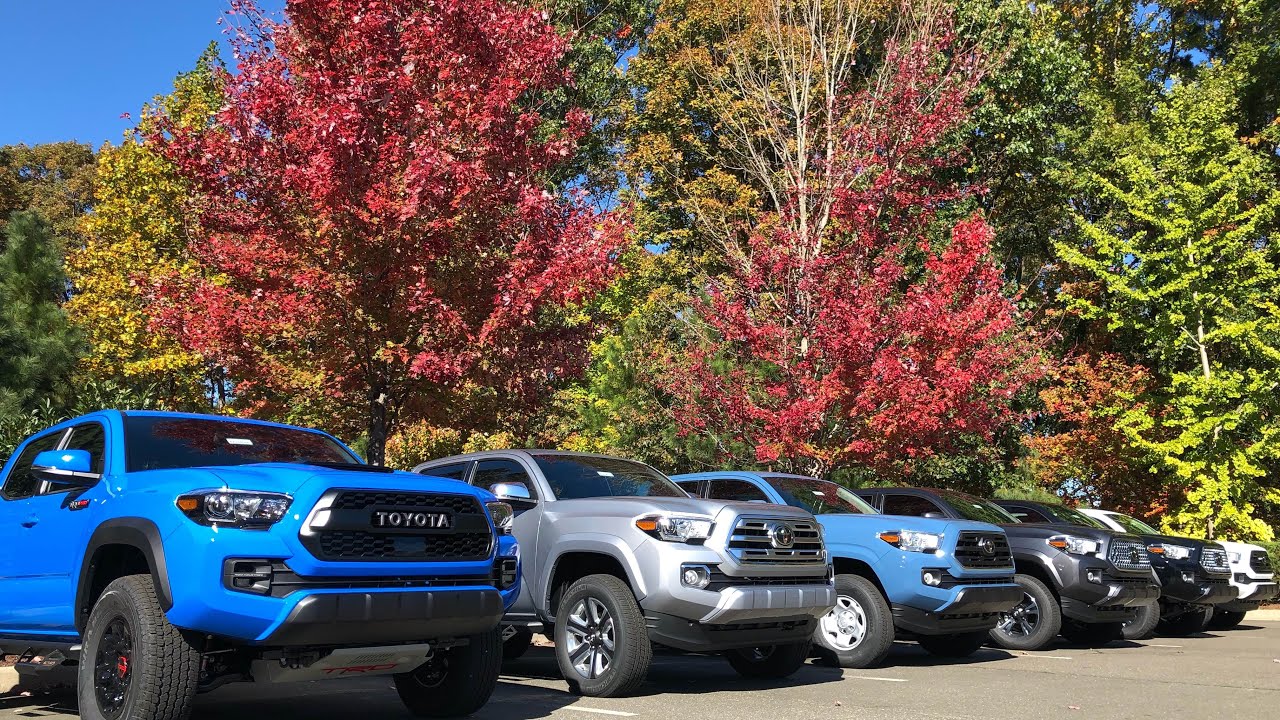 Comparing All 2019 Tacoma Trim Levels: How to Choose Yours!