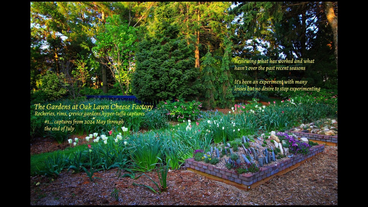 The Gardens at Oak Lawn Cheese Factory:  Ongoing rockery projects...#1 2024
