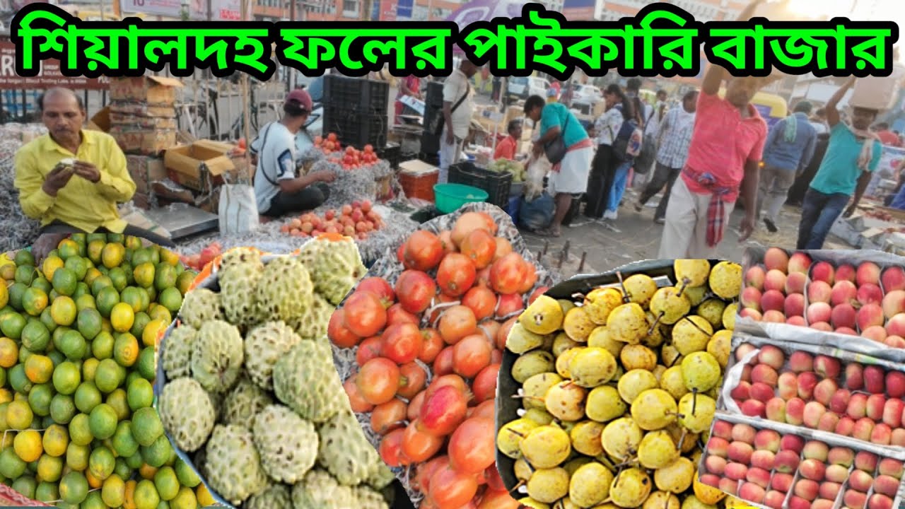 শিয়ালদহ ফলের বাজার l Sealdah Wholesale Fruit Market l Biggest Fruit Market in Kolkata l