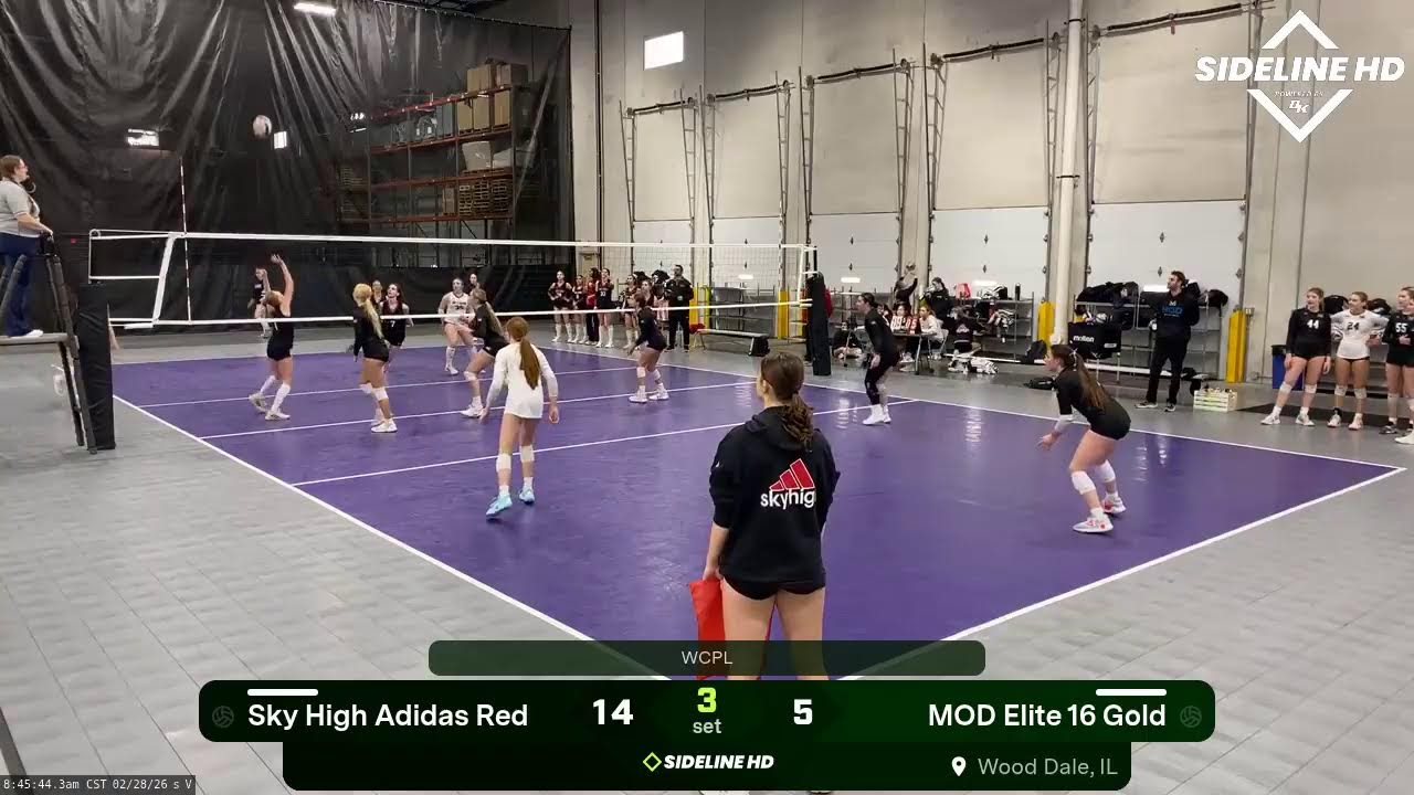 MOD Elite 16 Gold vs. Sky High Adidas Red (2026.02.28)