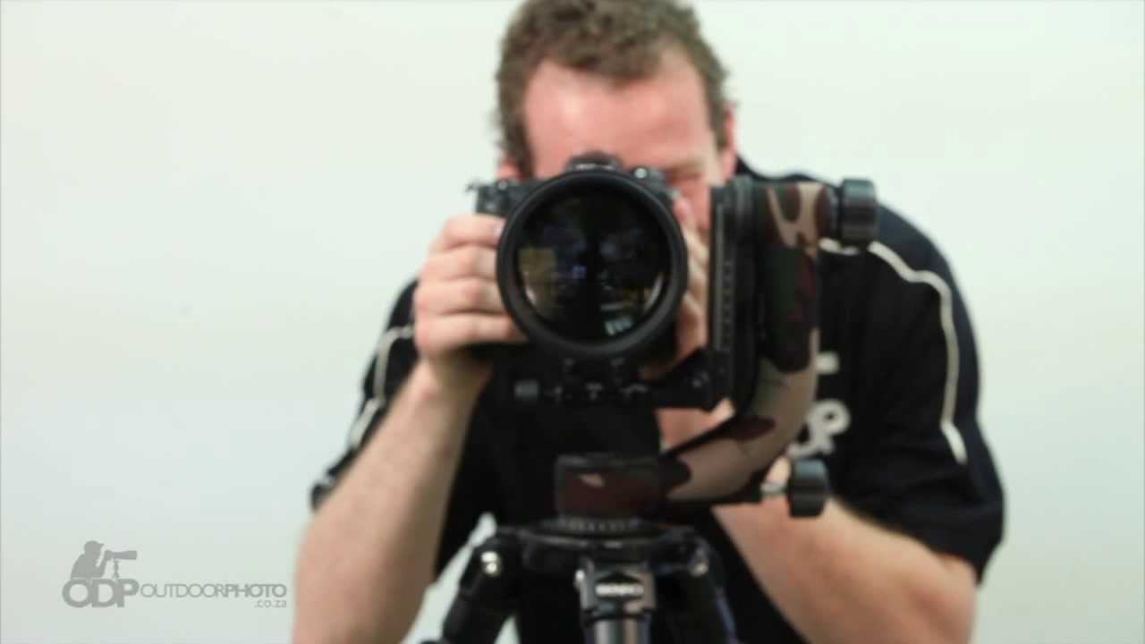 Benro Gimbal Head GH2