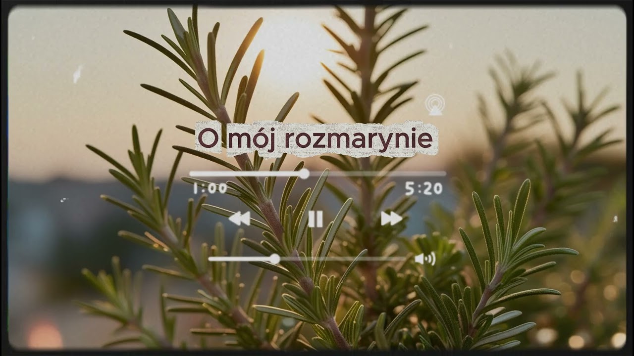 O mój rozmarynie