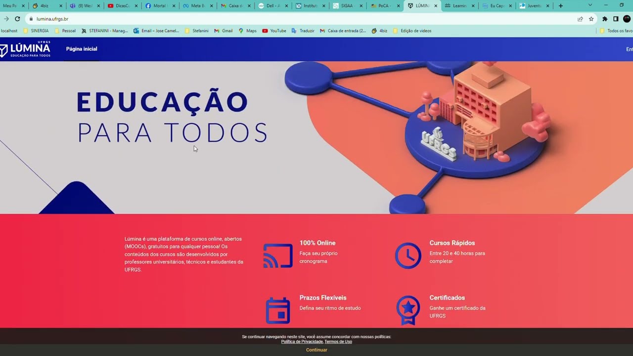 cursos gr&aacute;tis L&Uacute;MINA 100% Online  com Certificados da UFRGS
