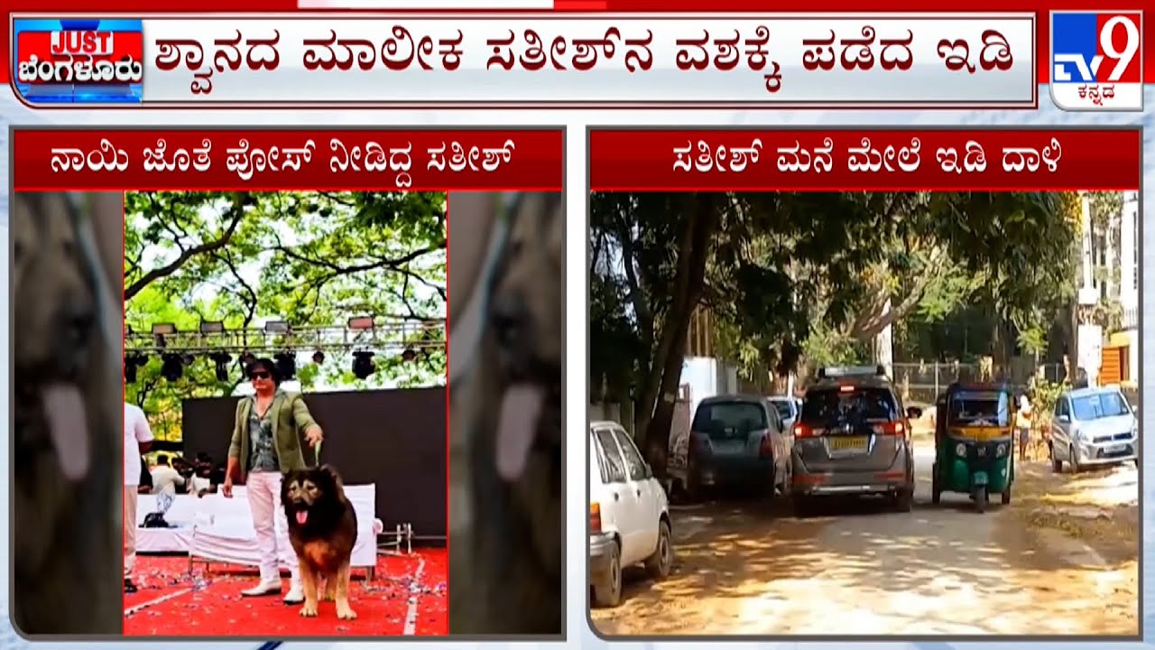 ED Raids Bengaluru Dog Breeder Who Claimed To Own ₹ 50cr Canine: ₹50 ಕೋಟಿ ಮೌಲ್ಯದ ನಾಯಿ ಮಾಲೀಕನಿಗೆ ಶಾಕ್