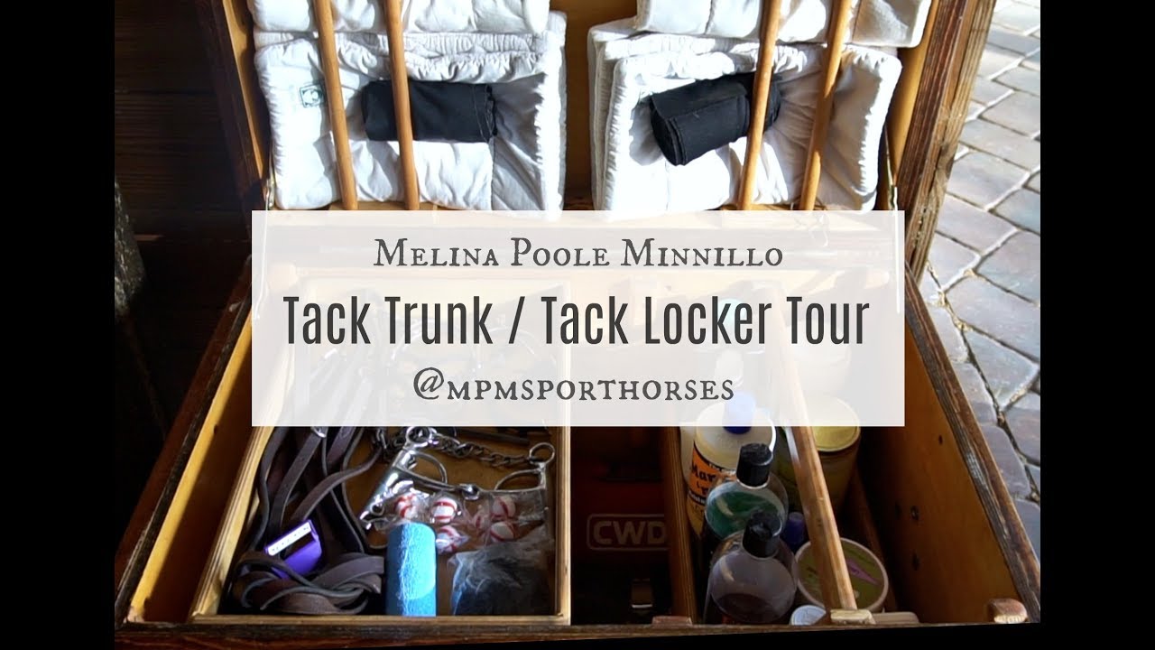 My Tack Trunk/Tack Locker Tour