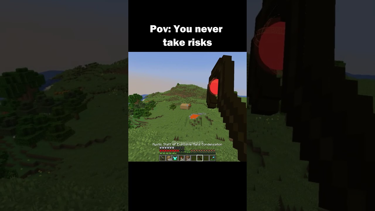 Pov: You didn't overreact #minecraft