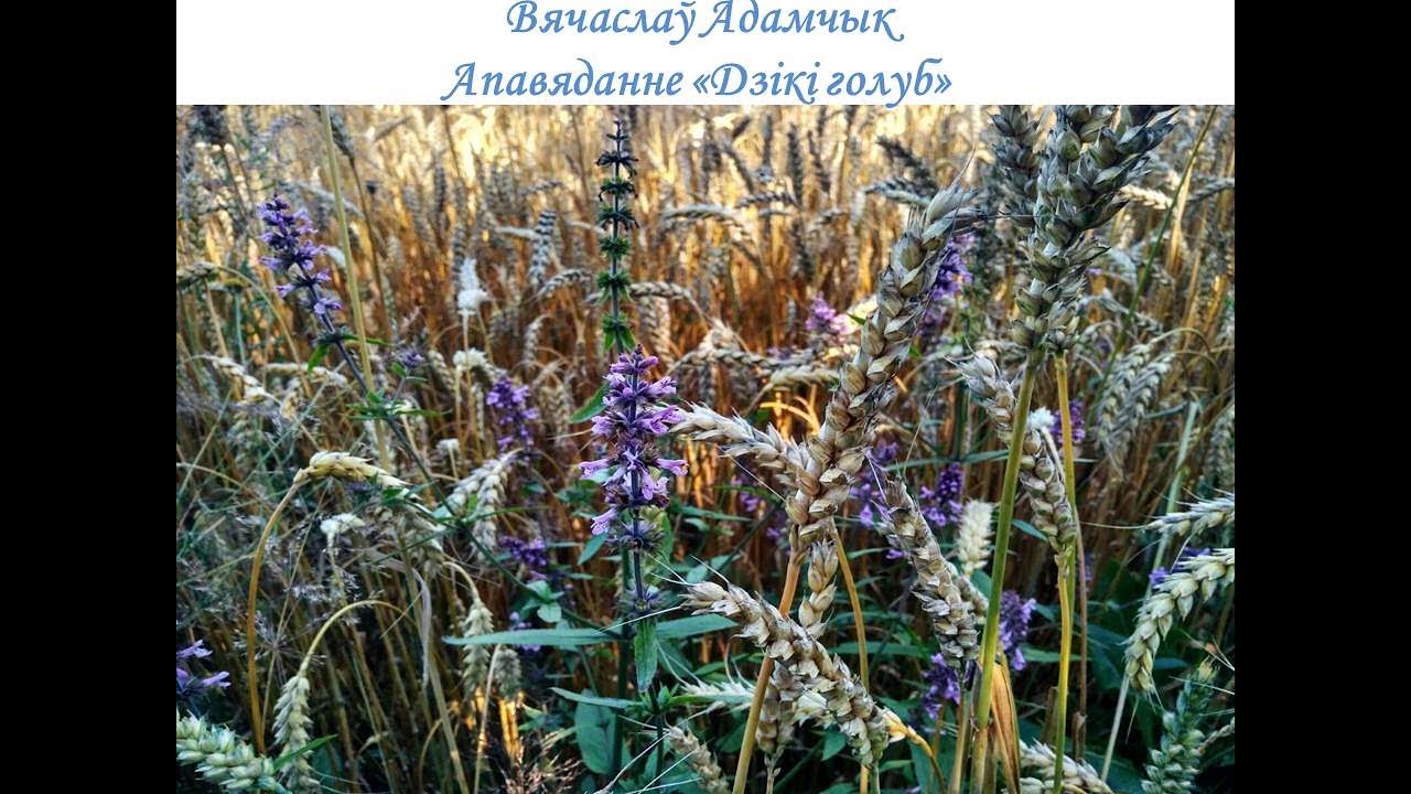 Вячаслаў Адамчык 