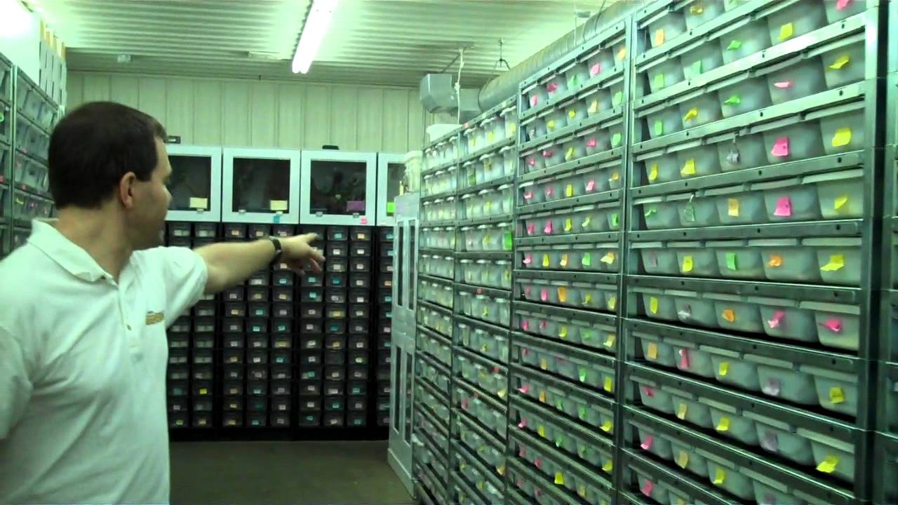 Our facility TOUR,  Breeding Bliss!