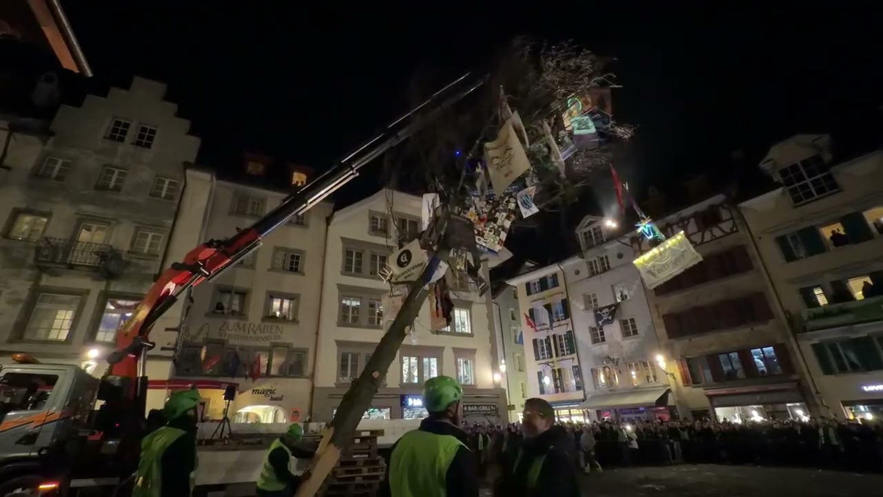 Guggebaum wurde gestellt Luzern 2026