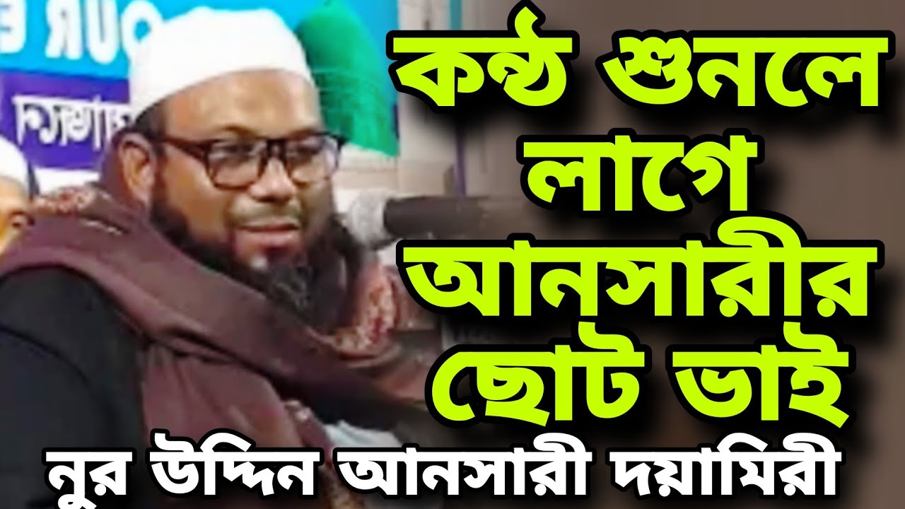 কন্ঠ শুনলে লাগে আনসারীর ছোট ভাই | নুর উদ্দিন আনসারী দয়ামিরী | Nur Uddin Ansari Doyamiri | Bangla Waz