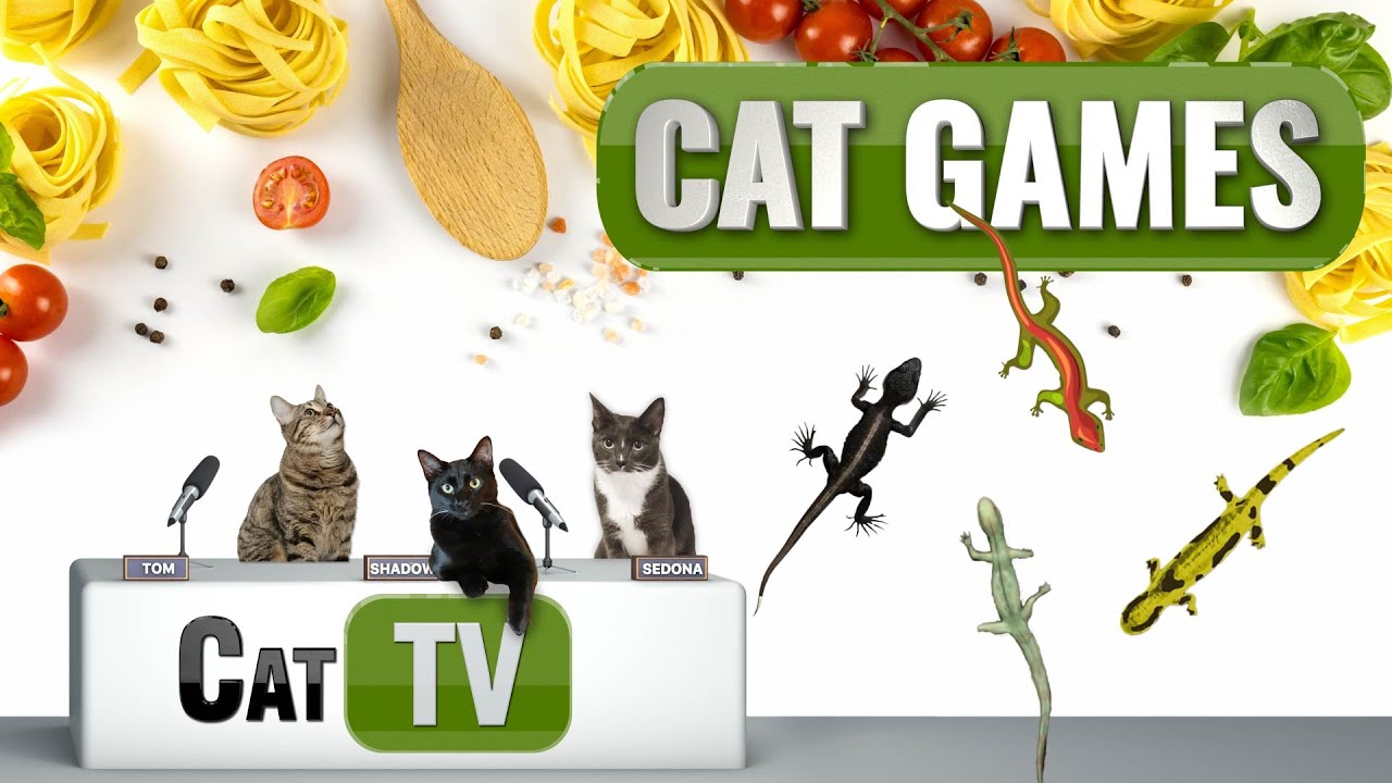 КОТ-игры | Воссоединение семьи Ящериц в Италии! | 2 часа 🦎🎉