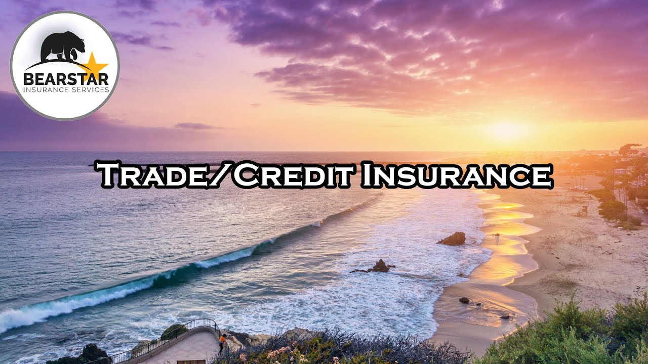 Trade / Credit Insurance (Account Receivables Insurance) | BearStar Insurance