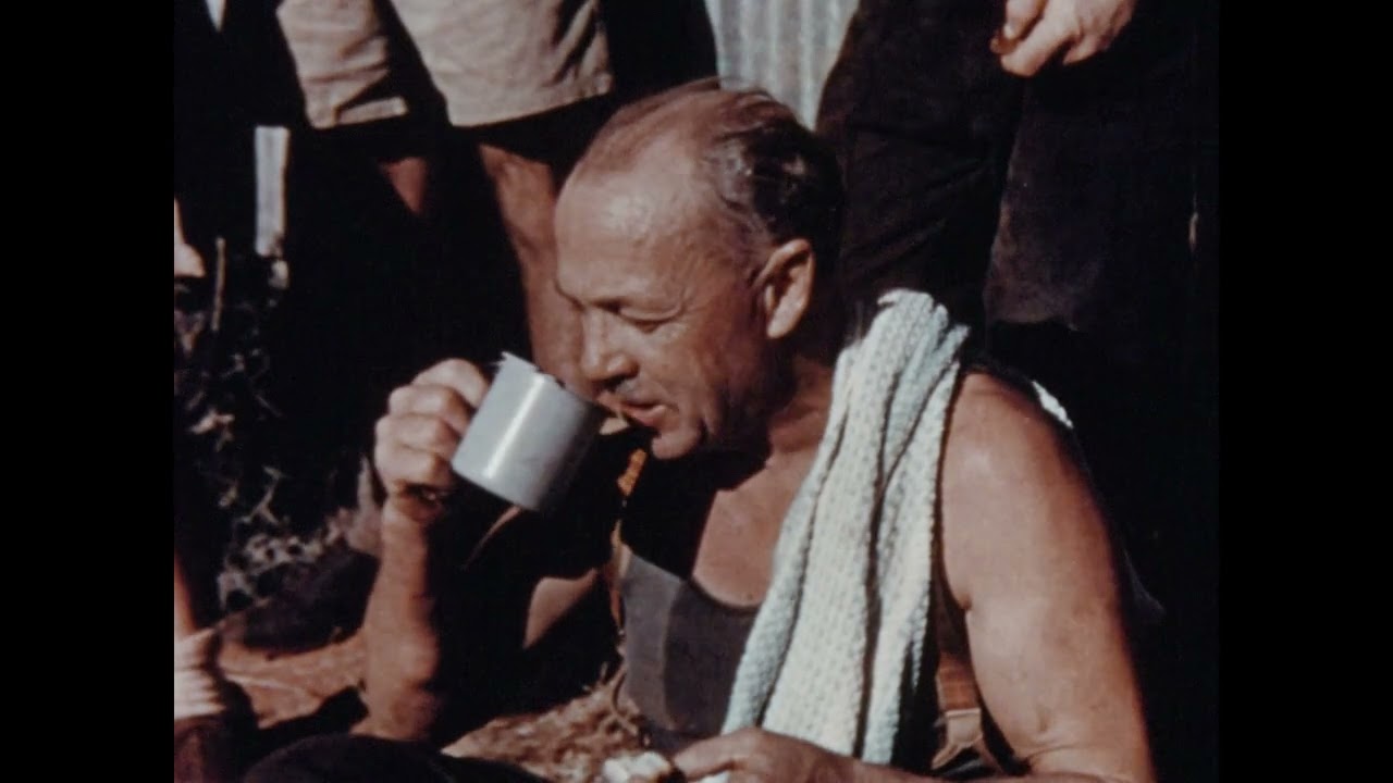 Shearing time at Billabong