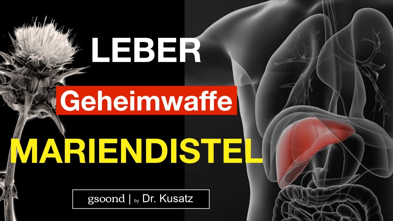 Mariendistel