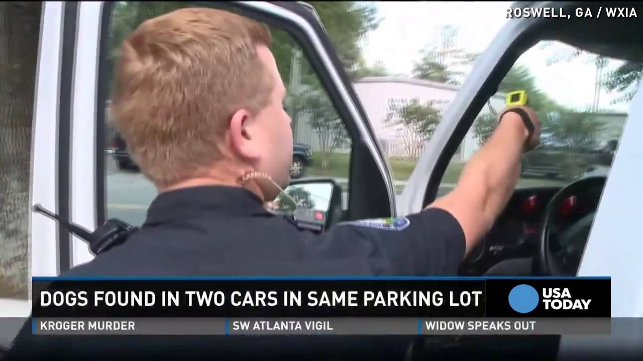 Police rescue two dogs in hot cars in same lot