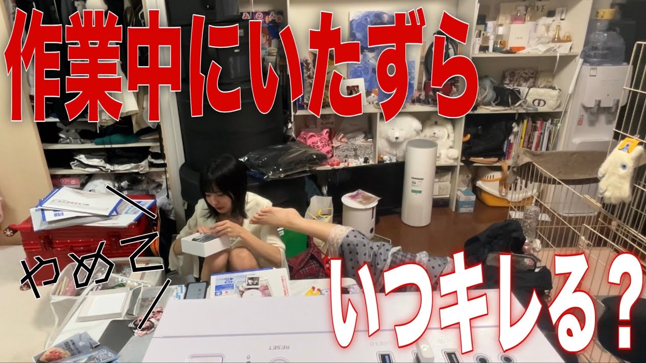 作業中いたずらし続けたらごみちゃんはいつキレるのかwwwwwww