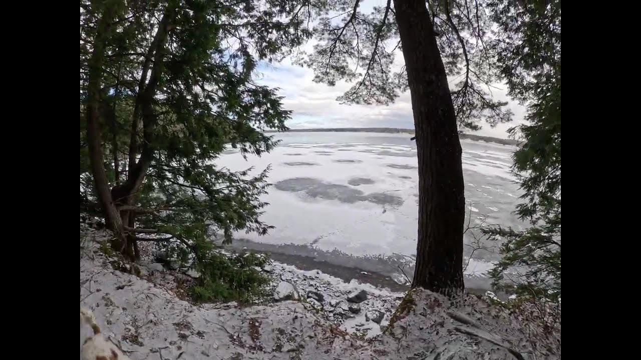 Winter Hike and Dogs Playing at Shelburne Bay - Jan. 18, 2026