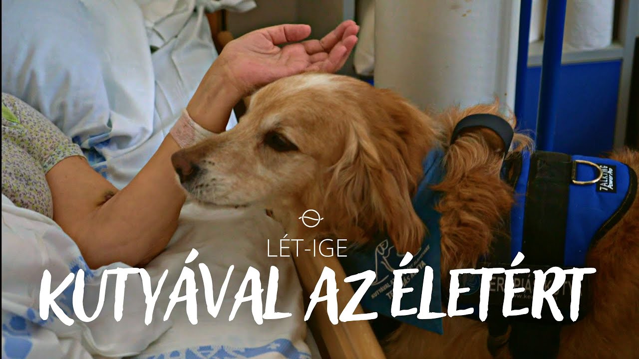 VILLŐ ÉS FÜGE - Lét-Ige