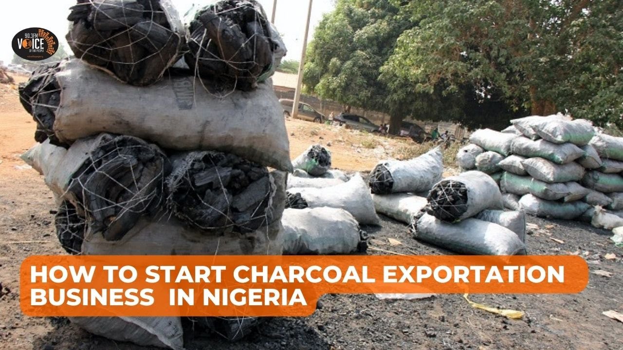 How to Start Charcoal Exportation  Business  in Nigeria | Business Around Town