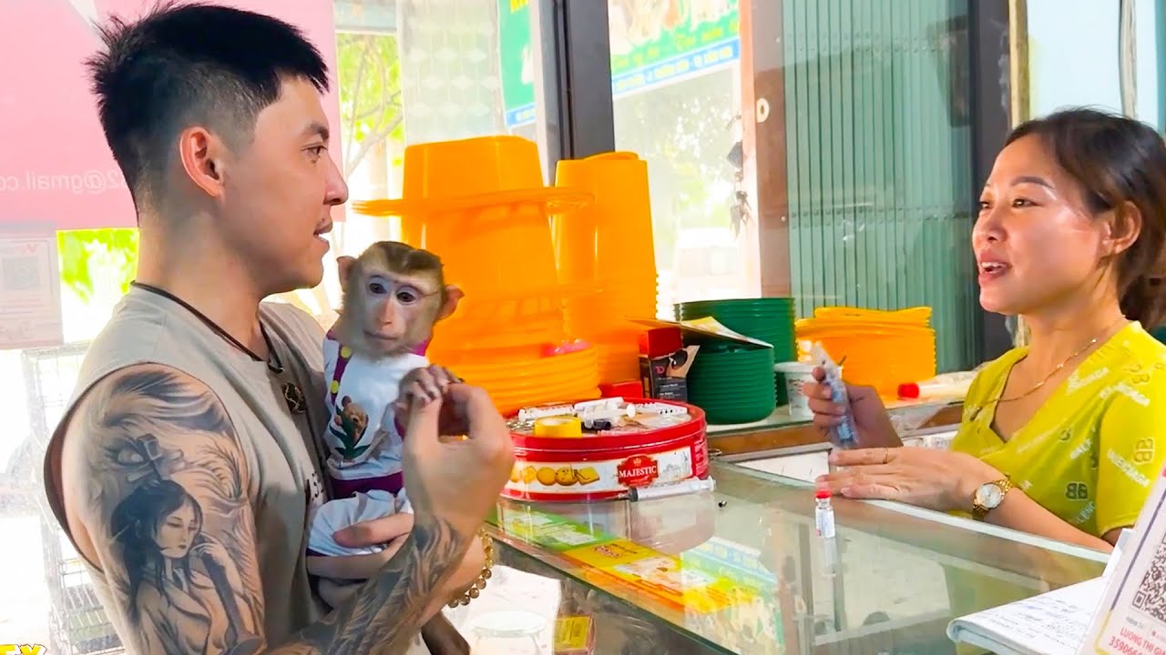 Top 3 best videos about the love between father and Monkey Kaka