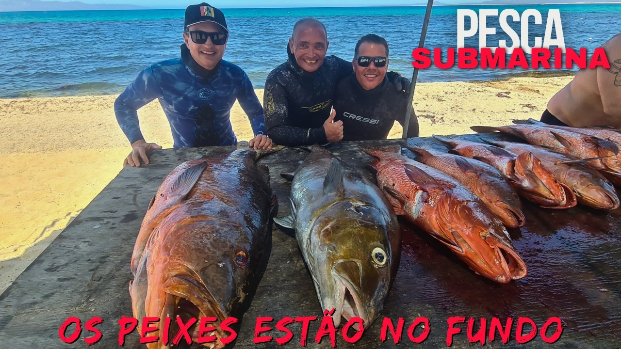 🔱PESCASUB | SPEARFISHING🔱- Os Peixes Estão no Fundo
