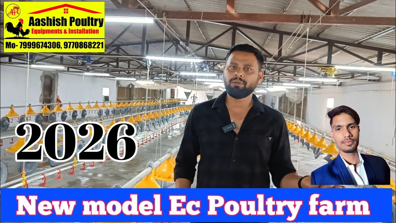 ac poultry farm house 2026 ka new model Ac Poultry farm #poultryfarming#murgi#boilar 