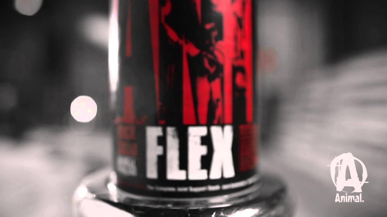 موسوعة المكملات الغذائية - Animal Flex