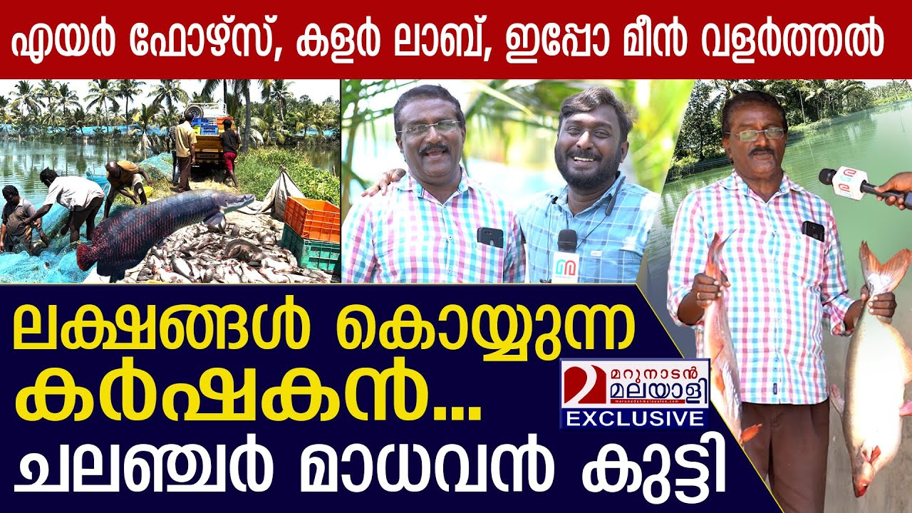 മീന്‍ കൃഷിയില്‍ വിജയം കൊയ്യുന്ന ചലഞ്ചര്‍ മാധവന്‍ കുട്ടി  | FISH FARMING