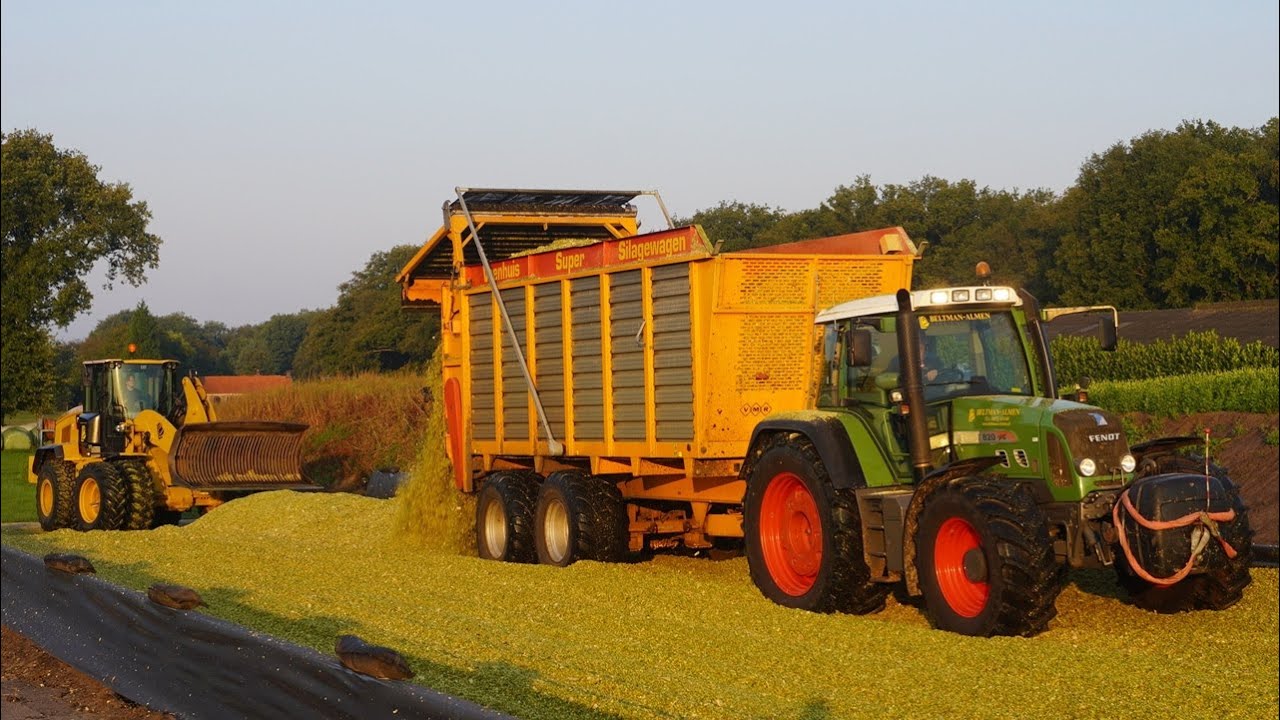 Mais 2024 | Claas | Fendt 820 | CAT 938M | Beltman Almen | Kuilwerk | Maishakselen | Mais silage
