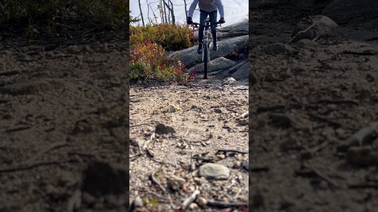 Duck n run rock roll #mtb #moutainbiking