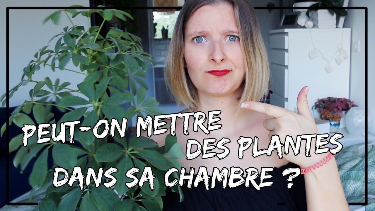 Peut-on mettre des plantes dans une chambre ?
