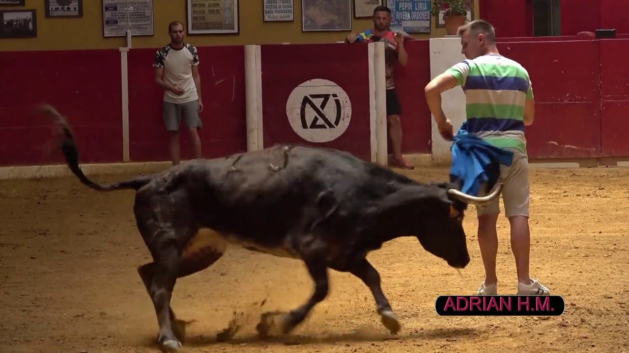 Capea Ganadería Nazario Ibáñez 27-6-2020