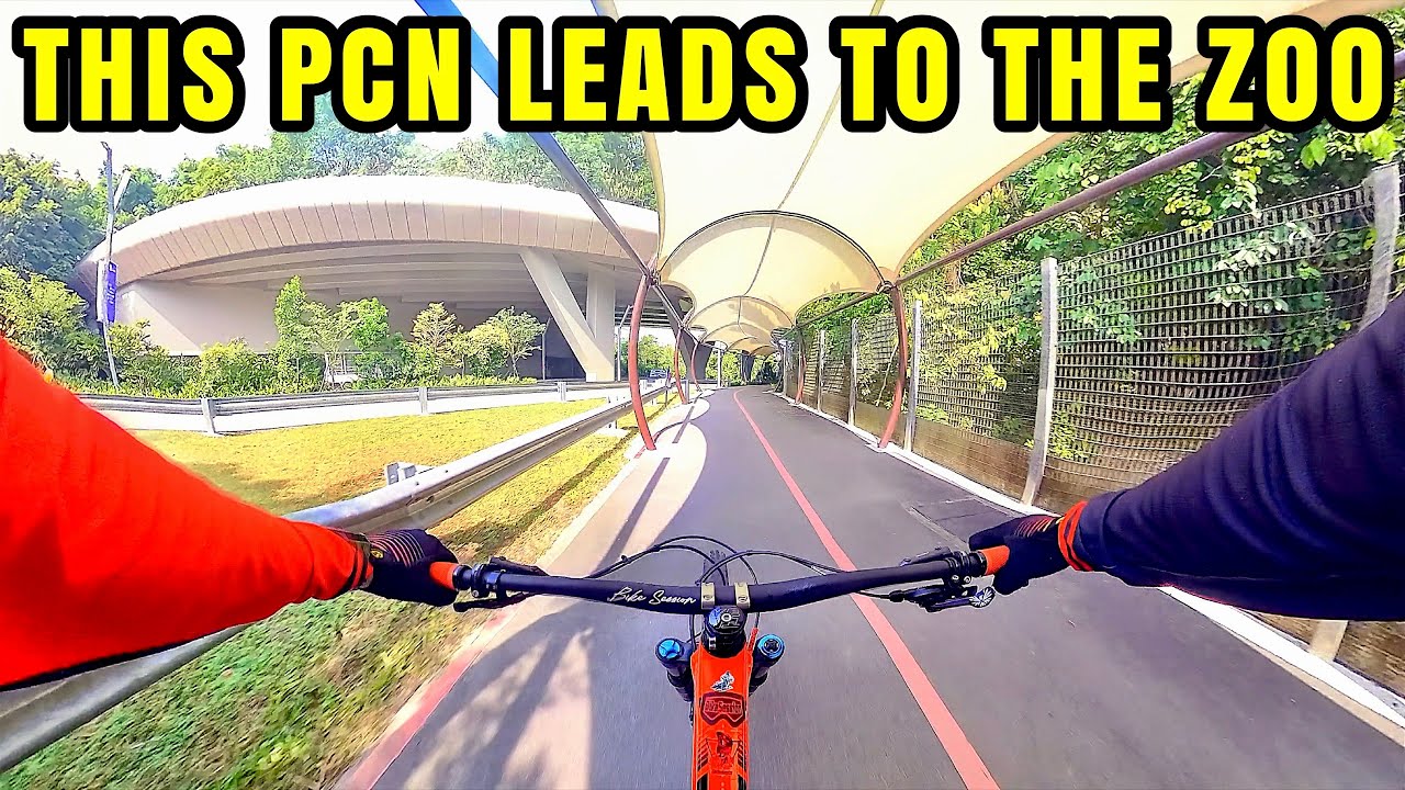 Cycling Mandai Park Connector to Singapore Zoo POV | New PCN Singapore | Insta360 X3