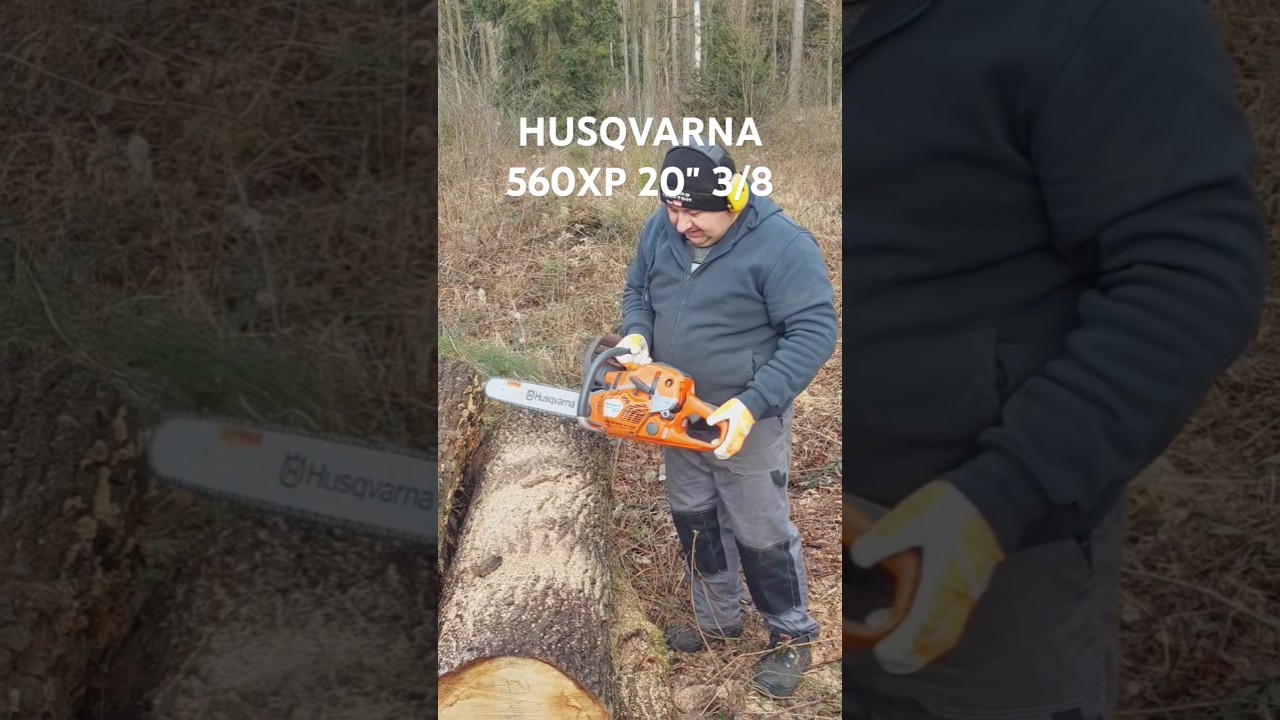 Nowa Husqvarna 560xp MarkII w Akcji